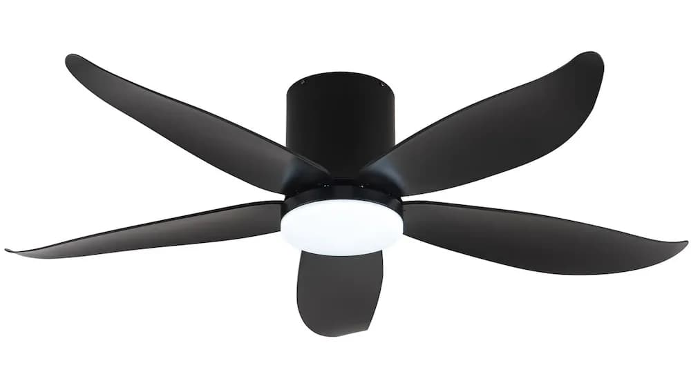 Fanco Rito 5 Ceiling Fan (Wifi)